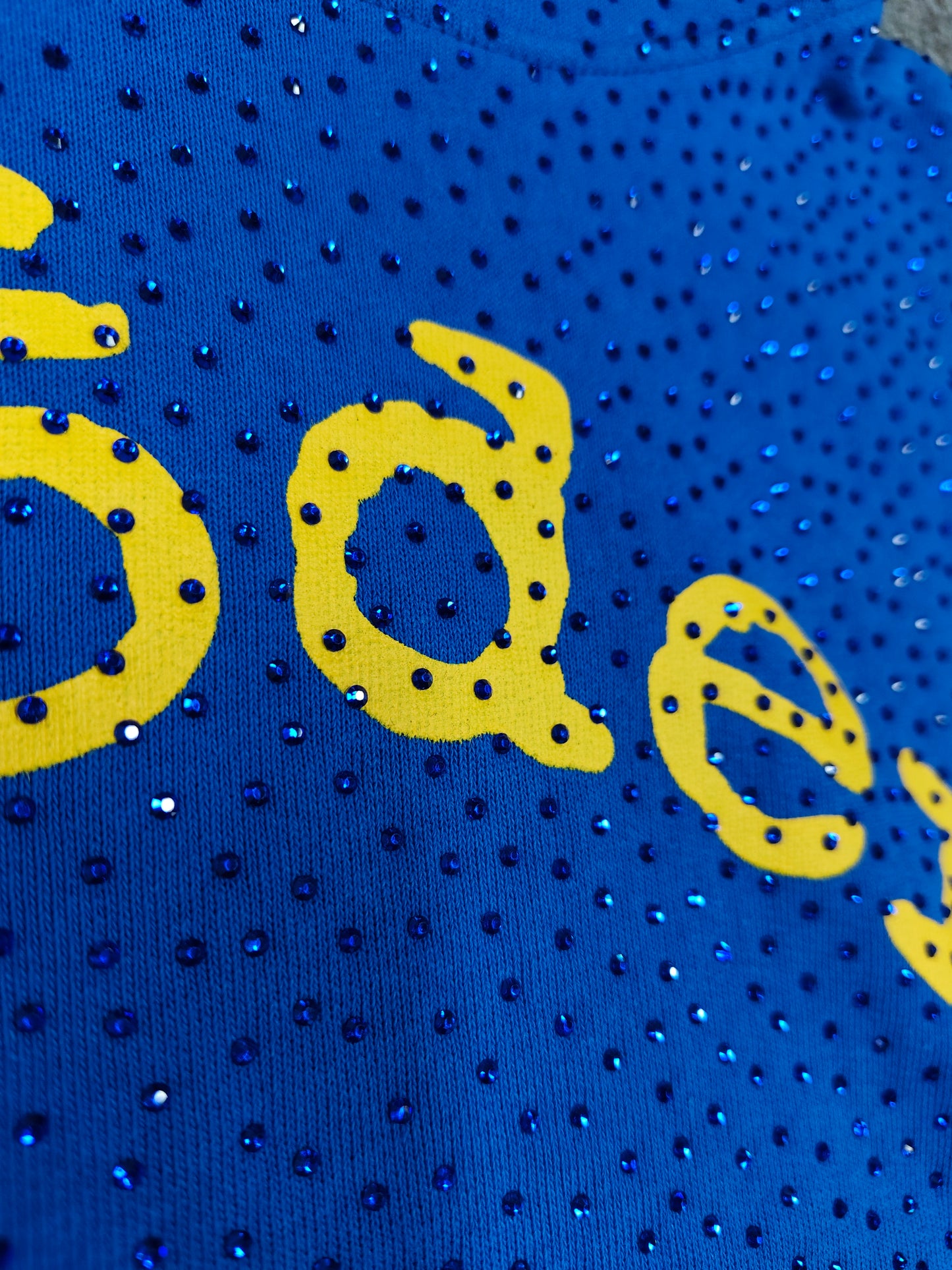 Sp5der TC Blue Rhinestone Hoodie